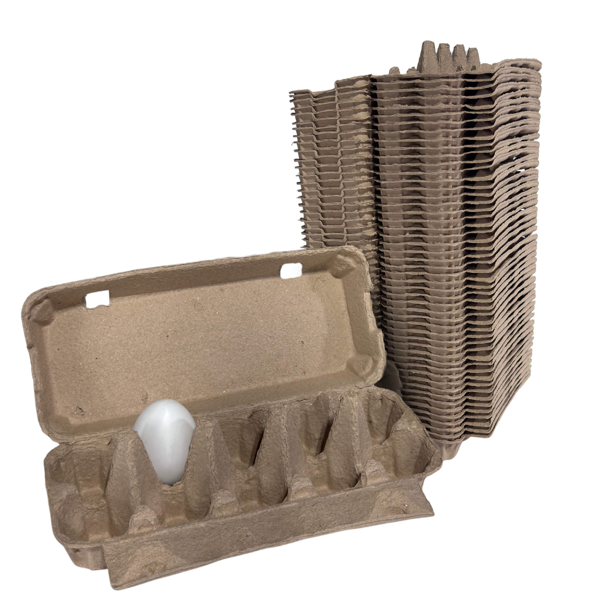 10-Egg Cartons - Natural Pulp, Flat Top Blank