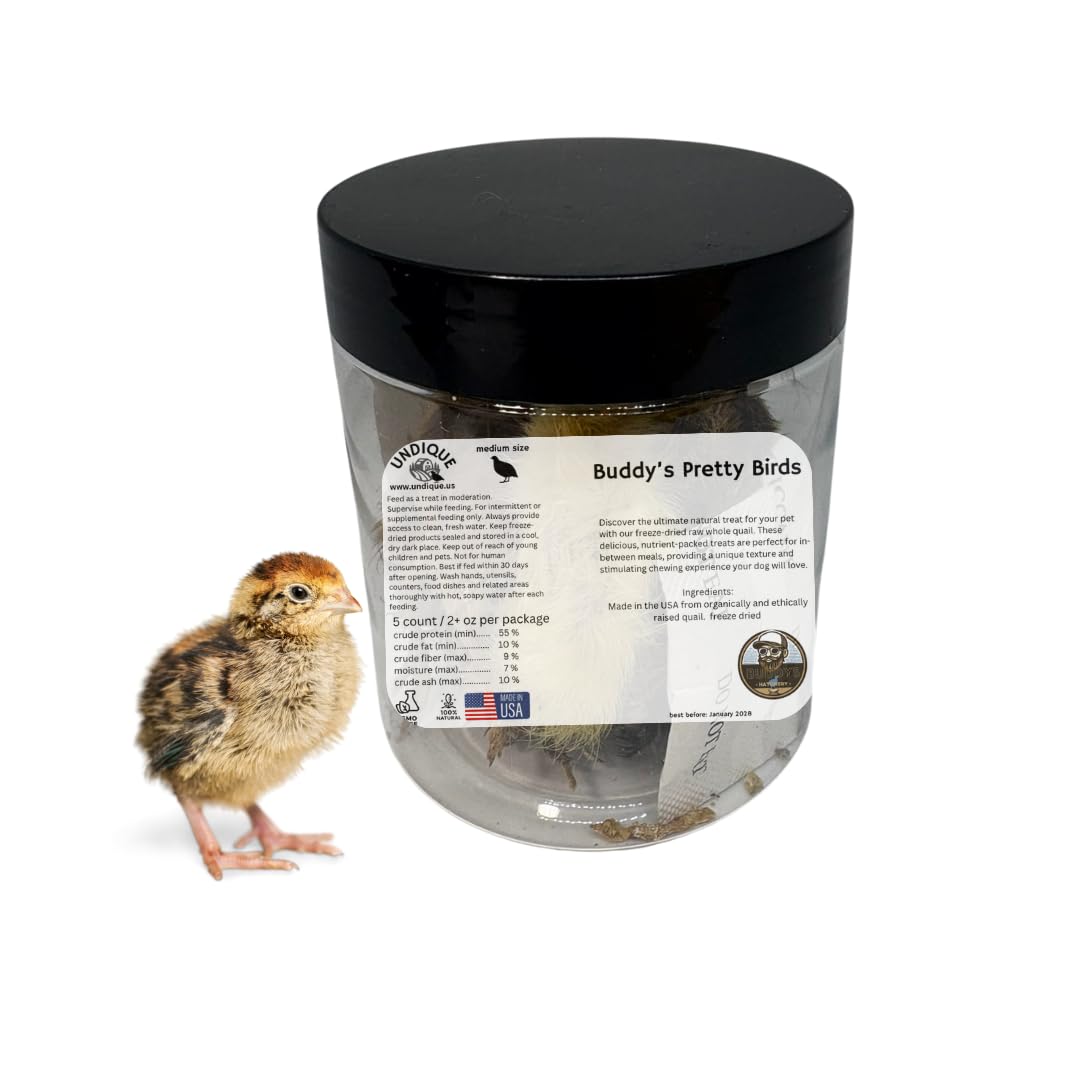 Whole Quail Chick for Carnivore Pets - Natural Prey Feeding - Quality Protein Source Medium Size Chicks 5 Count