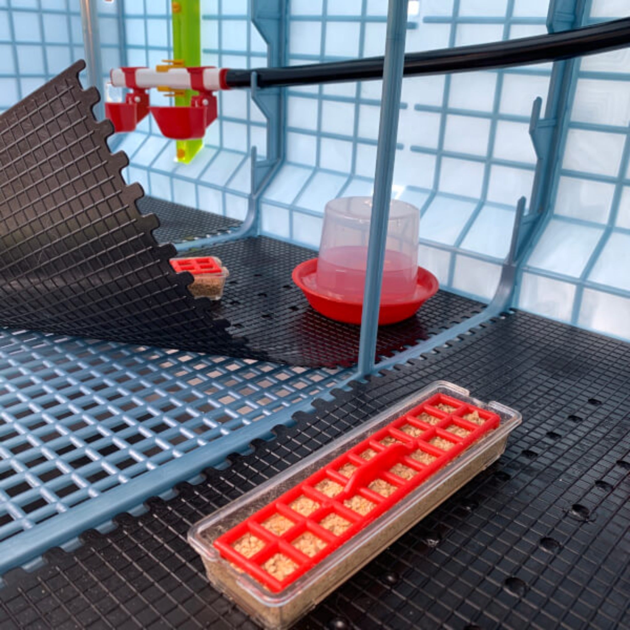 Chick Brooder - 1 Layer H: 15"