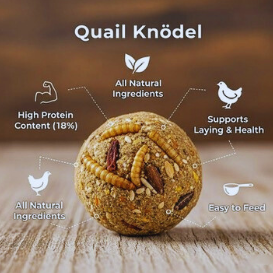 Quail & Gamebird Knödel — Enrichment Feed Ball with Mealworms 2 pack